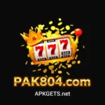 PAK 804 GAME