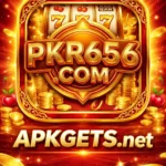 PKR656 GAME APK