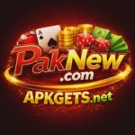 PAK NEW GAME APK