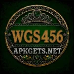 WGS456 GAME