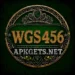 WGS456 GAME