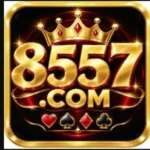 8557 Game